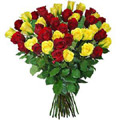 Valentine Flowers to Bangalore