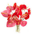 Flowers to Bangalore