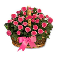 Roses to Bangalore : 24 Pink Roses Basket to Bangalore