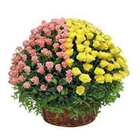 Bengaluru Gifts provide 100 Pink and Yellow Roses Basket to Bangalore as well as Diwali Flowers to Bangalore