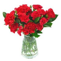Send New Year Flowers to Bangalore. Red Carnation Vase 10 Flowers Delivery to Bangalore