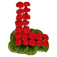 Deliver Red Carnation Basket 24 Flowers to Bengaluru for Friendship Day
