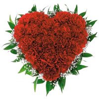 Send Rakhi with 100 Red Carnation Flowers to Bangalore in Heart Arrangement