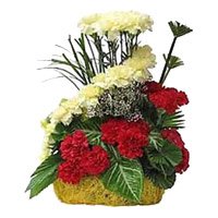 Send Red Yellow Carnation Basket 24 Flowers to Bengaluru Online on Friendship Day