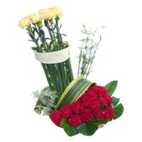 Place Order for New Year Flowers that includes Red Yellow Carnation Basket of 20 Flowers in Bangalore