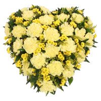 Send Online Delivery of Yellow Carnation Heart 24 Flowers in Bangalore on Rakhi