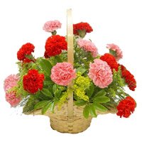 Deliver Red Pink Carnation Basket 15 Flowers to Bengaluru on Friendship Day