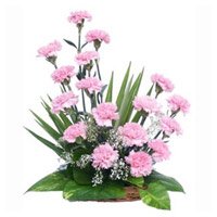 Exclusive Flowers in Bengaluru. Buy Pink Carnation Basket 18 Flowers