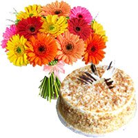 Online Delivery of 1 Kg Butter Scotch Cake in Bengaluru with 12 Mix Gerbera Bouquet on Friendship Day
