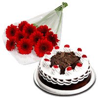 Deliver 12 Red Gerbera 1/2 Kg Black Forest Cake to Bangalore for Friendship Day