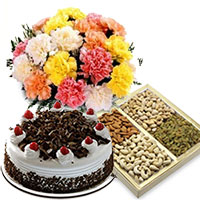 Deliver 12 Mix Carnation, 1/2 Kg Black Forest Cake and 1/2 Kg Dry Fruits in Bangalore