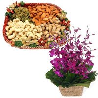 Deliver New Year Flowers to Bengaluru that includes 10 Purple Orchids Basket and 1/2 Kg Assorted Dry Fruits to Bangalore