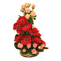 Deliver Online Diwali Flowers to Bangalore comprising of Red Gerbera Pink Roses Basket 24 Flowers