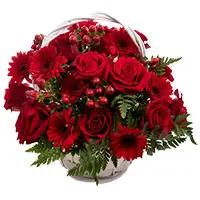 Online Flower Delivery in Bangalore : Red Gerbera Basket