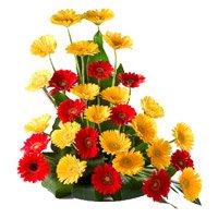 Valentine's Day Flowers to Bangalore : Red Yellow Gerbera