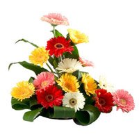 Send Online Mixed Gerbera Basket 15 Flowers in Bengaluru on Friendship Day