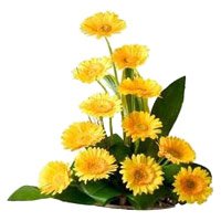 Cheap Flowers Online to Bangalore - Yellow Gerbera