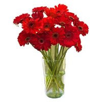 Deliver Rakhi and Red Gerbera in Vase 12 Flowers to Bangalore