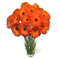 Best Flowers for friend on Friendship Day, Place order to send Orange Gerbera in Vase 24 Flowers to Bengaluru
