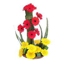 Friendship Day Flowers Delivery in Bengaluru for Yellow Red Gerbera Basket 18 Flowers