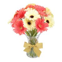 Send Mix Gerbera in Vase 15 Flowers to Bangalore on Rakhi