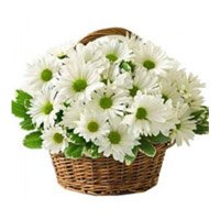 Send New Year Flowers in Bangalore that includes White Gerbera Basket of 20 Flowers to Bangalore