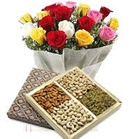 Send Gifts to Bangalore along with 24 Mixed Roses and 1/2 Kg Assorted Dry Fruits to Bengaluru