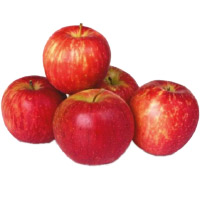 Online New Year Gifts in Bangalore containing 1 Kg Fresh Apple