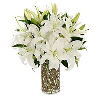 Send Friendship Day Flowers of White Lily Vase 15 Flower in Bengaluru