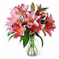 Cheapest Flower delivery in Bangalore for Pink Lily Vase 15 Flower Stems