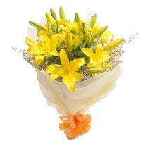 Flower Delivery in Bangalore Mathikere : Yellow Lily 