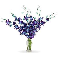 Send Blue Orchid Vase 6 Flowers Stem in Bengaluru on Friendship Day