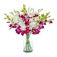 Send Flowers to Bangalore HMT : Orchids Flowers to Bangalore HMT