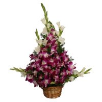 Friendship Day Flowers Delivery to Bengaluru. Send 8 Orchids and 10 Glads Arrangement.