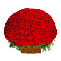 Same Day Deliver Diwali Flowers in Bengaluru take in Red Roses Basket 500 Flowers to Bangalore