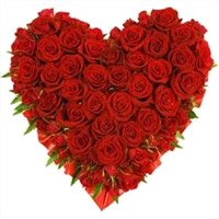 Valentine's Day Flowers Delivery in Bangalore JP Nagar