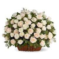 Flowers to Bangalore : White Roses