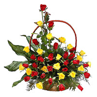 Send Rakhi to Bangalore, Red Yellow Roses Basket 36 Flowers in Bangalore