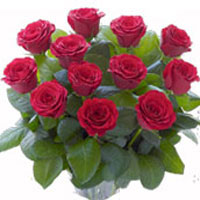 Fathers Day Flowers to Bangalore