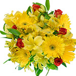 Flowers to Bangalore