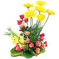 Anniversary Flowers to Bangalore