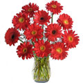 Anniversary Flowers to Bangalore