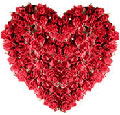 Flowers to Bangalore, Send Flowers to Bangalore