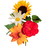 Flowers to Bangalore