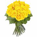 Flowers to Bangalore : Send Flowers to Bangalore