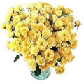 Send Flowers to Bangalore, Flowers to Bangalore