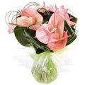 Friendship Day Flowers to Bangalore