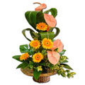 Send Flowers to Bangalore : Flowers to Bangalore