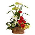 Send Flowers to Bangalore