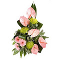 Flowers to Bangalore